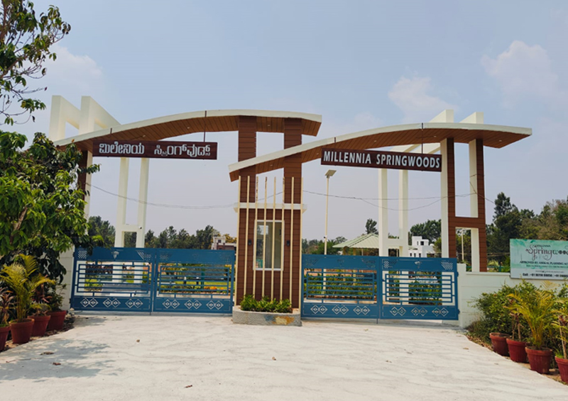 Project Name