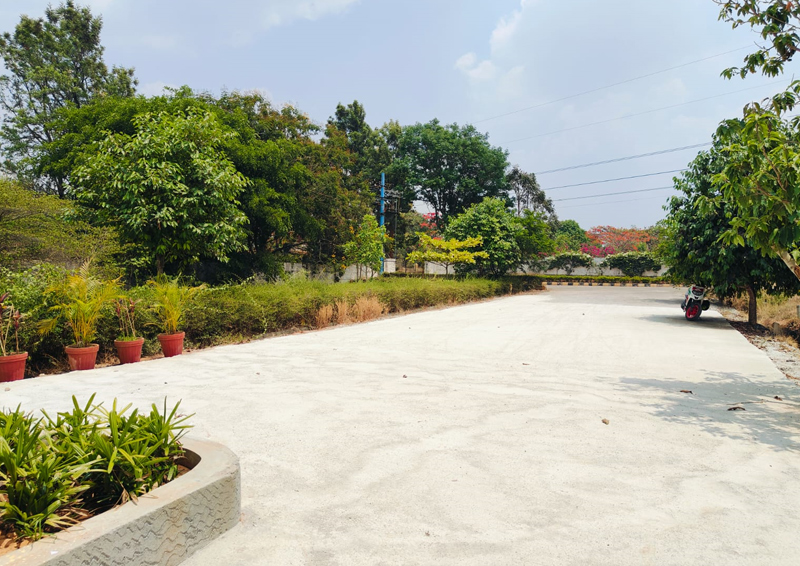 Project Name